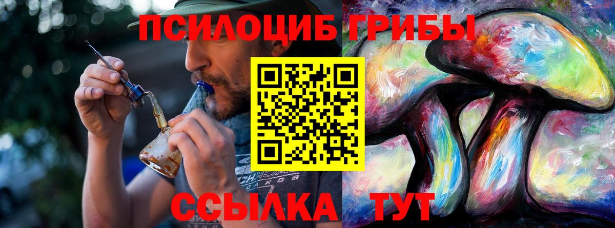 Курчалой  Псилоцибиновые грибы мицелий  Псилоцибиновые грибы мицелий  Вход с VPN 